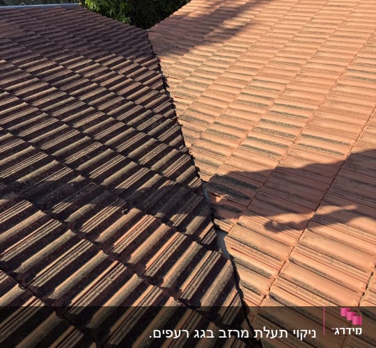 גגות רעפים בצבעים שונים עם צללים
